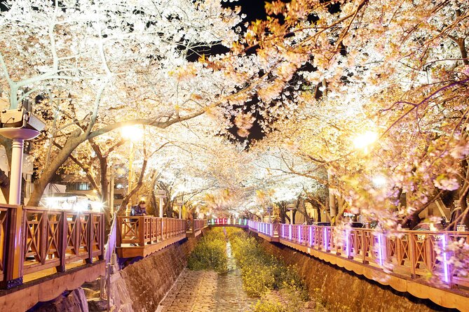 Jinhae Cherry Blossom Day trip from Busan - A Spring Adventure! - Jinhae Post Office and festival streets