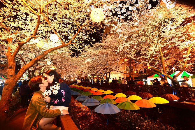 Jinhae Cherry Blossom Day trip from Busan - A Spring Adventure! - Who gets the best value from this trip?