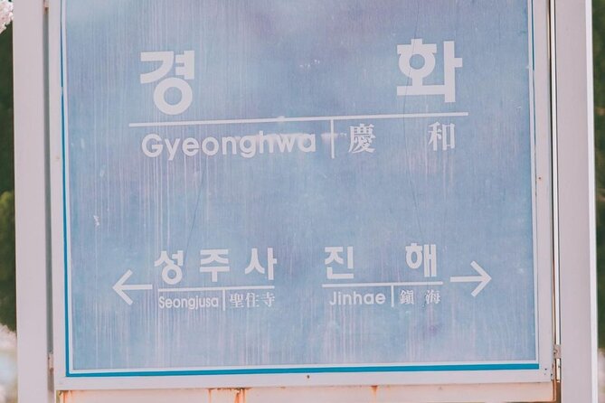 Jinhae Pink Cherry Blossom One Day Tour From Busan - What the price of $38.39 really covers