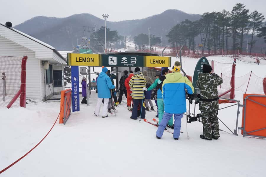 Jisan Forest Resort: Ski Full-Day Tour or Shuttle from Seoul - Arriving at Jisan and choosing your pace