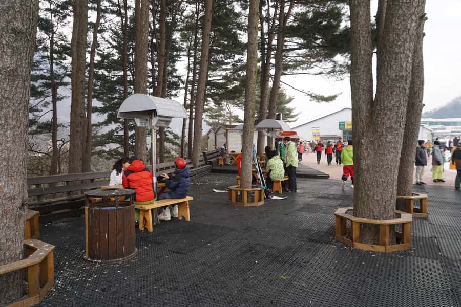 Jisan Forest Resort: Ski Full-Day Tour or Shuttle from Seoul - Six slopes, snow play, and time away from skis