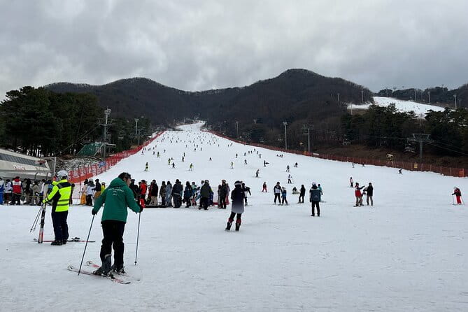Jisan Forest Ski Resort and Everland 1 Day Tour - Five hours inside Everland