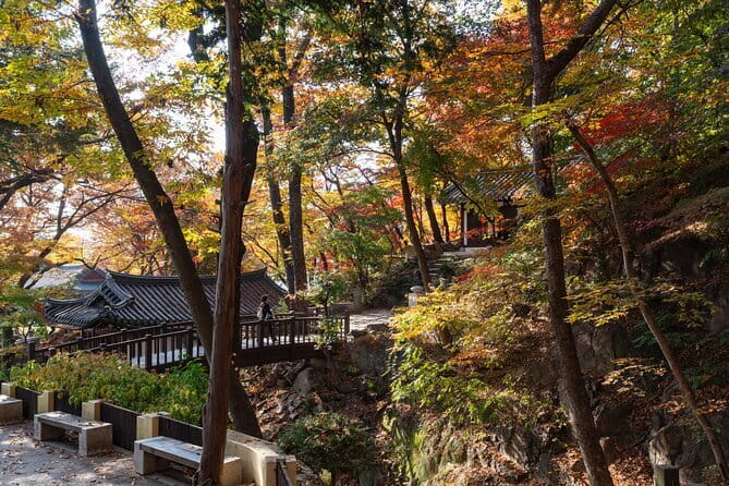 Jisan Forest Ski Resort and Everland 1 Day Tour - Who will enjoy this long day