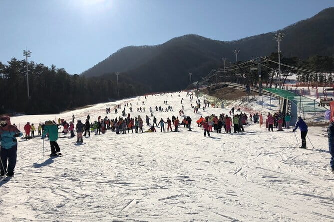 Jisan Forest Ski Resort and Everland 1 Day Tour - Three hours at Jisan: what beginners can really do