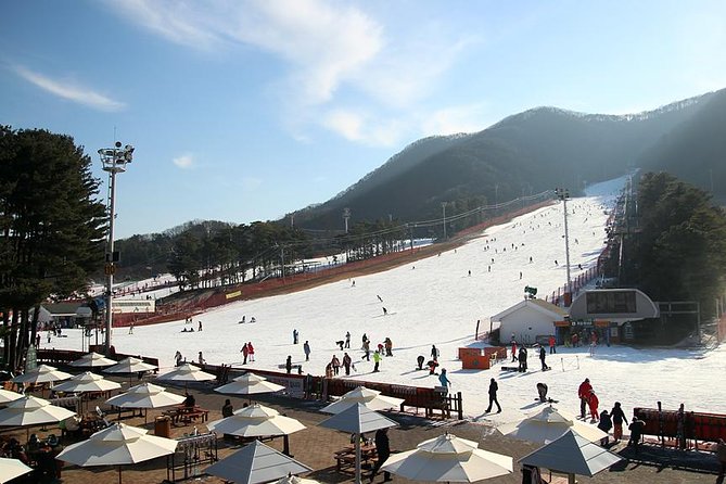 Korea Ski Tour from Seoul - Jisan Resort with Isaac Toast - Meeting near Myeongdong at 7:30 am