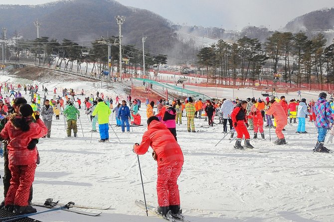 Korea Ski Tour from Seoul - Jisan Resort with Isaac Toast - Arriving at Jisan Forest Resort