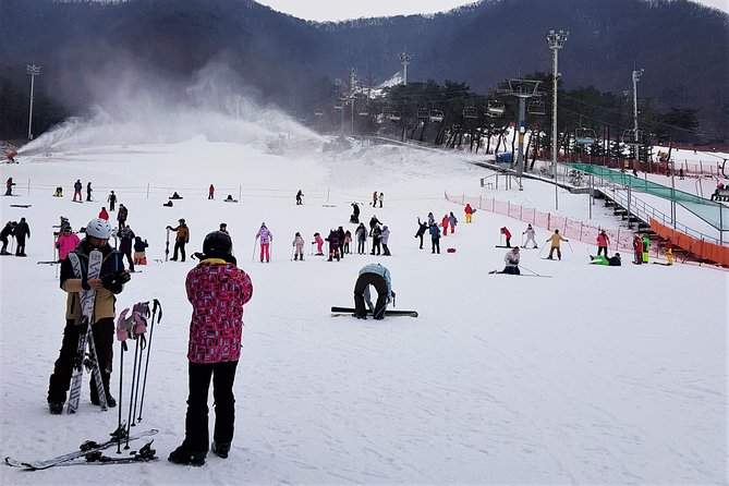 Korea Ski Tour from Seoul - Jisan Resort with Isaac Toast - The 120-minute lesson for beginners