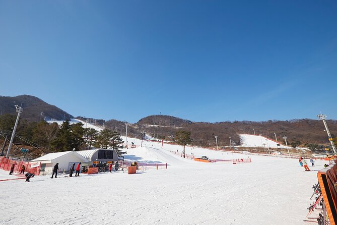 Korea Ski Tour from Seoul - Jisan Resort with Isaac Toast - Insurance and safety details