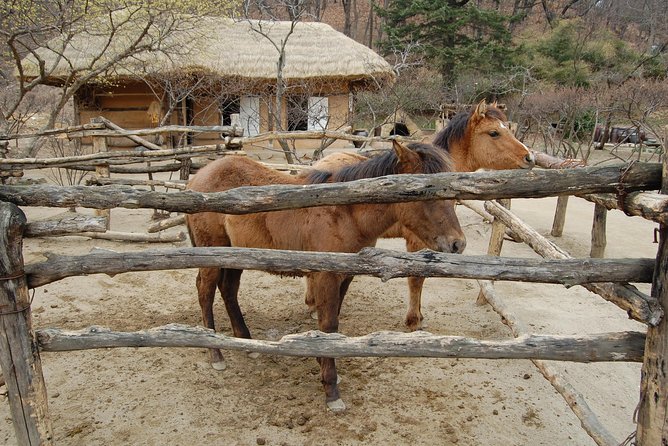 Korean Folk Village Afternoon Tour from Seoul - Guides can make the short visit worthwhile