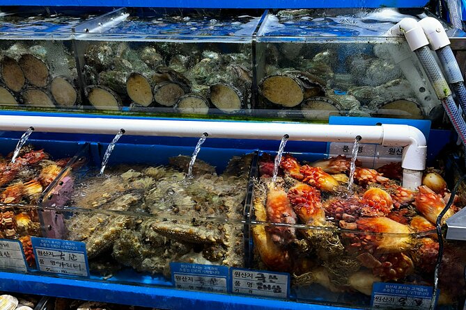 Korean Market Adventure with Chef Yie - Noryangjin Fish market - What the $150 price really covers