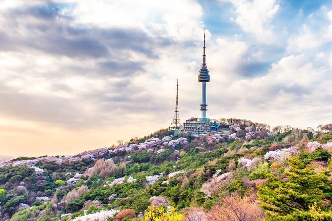 Lee’s Private 4-hour Customized Seoul Tour - Who should book Lee’s four-hour tour