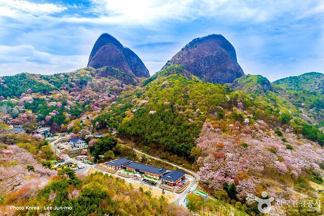 Maisan Cherry Blossom and Jeonju Hanok Village - Why Maisan and Jeonju make a useful pairing