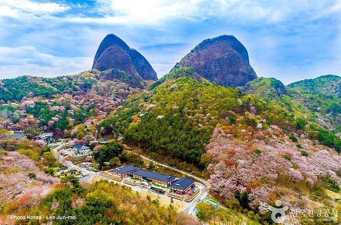 Maisan Cherry Blossom and Jeonju Hanok Village - What $71.43 includes, and what it does not
