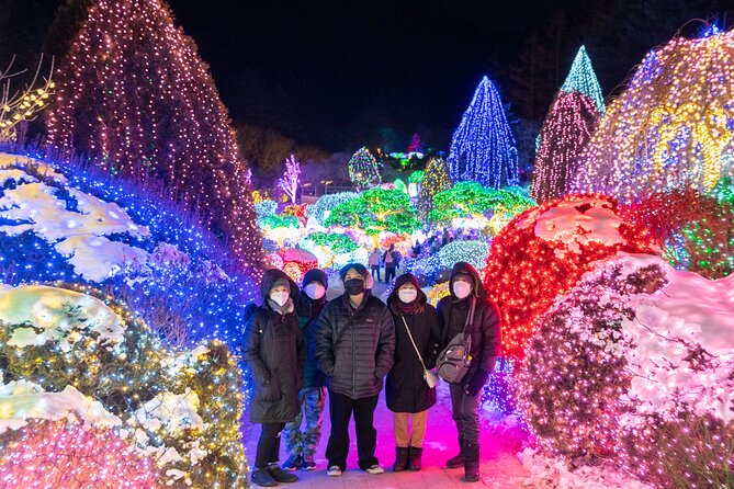 Make Your Trip Around Nami Island With an Expert(DSLR option) - Nami Island: trees, water, and the day’s main attraction