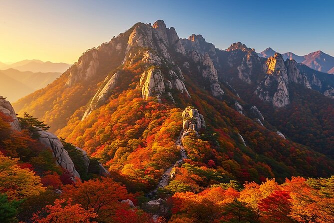 Missionary Memorial Hall and Goseong DMZ Observatory from sokcho - Key points to know before booking