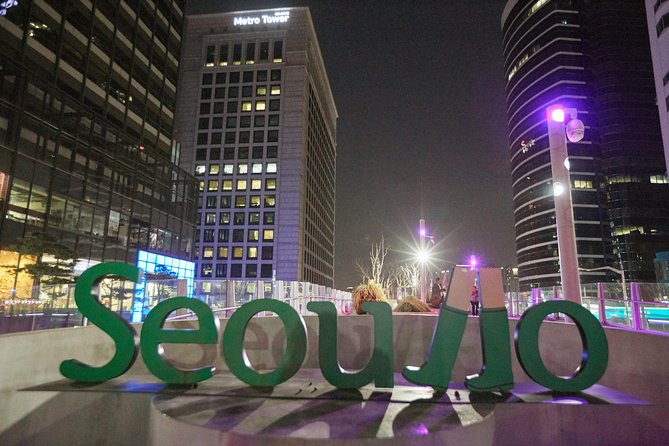 Moonlight Rainbow Fountain Show Night Tour in Seoul - Who should book this Seoul night tour