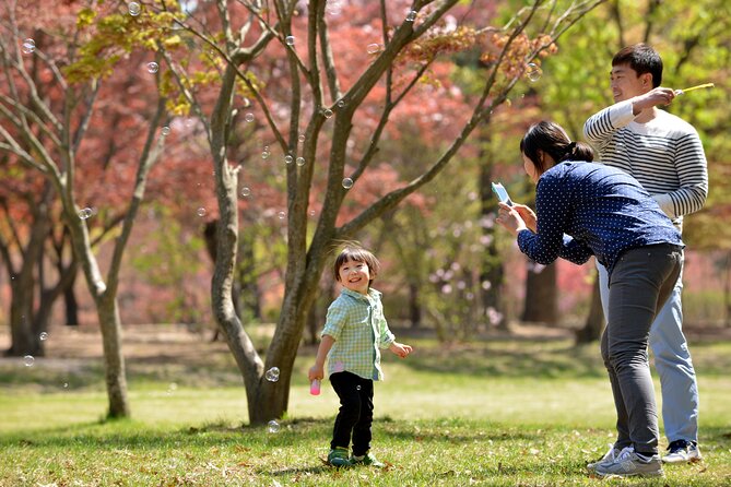 Mount Seorak and Nami Island One Day Tour from Seoul - Choosing the order of the two stops