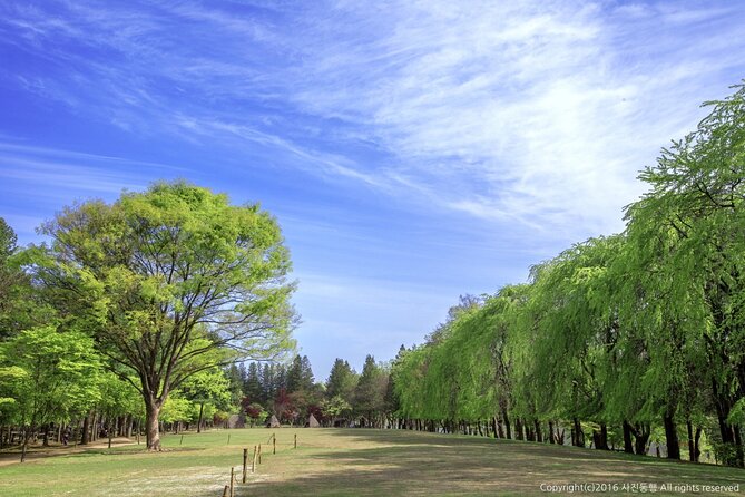 Mount Seorak and Nami Island One Day Tour from Seoul - What the $80.95 price really covers