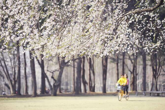 Mount Seorak and Nami Island One Day Tour from Seoul - The guide can make or break a short visit