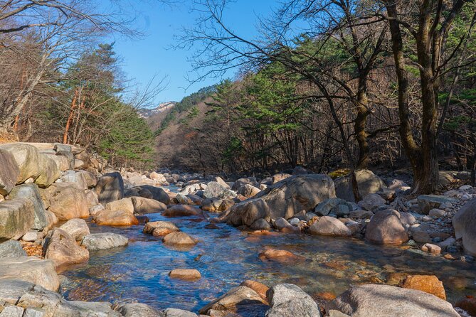 Mount Seorak and Nami Island One Day Tour from Seoul - Who should book this day trip?