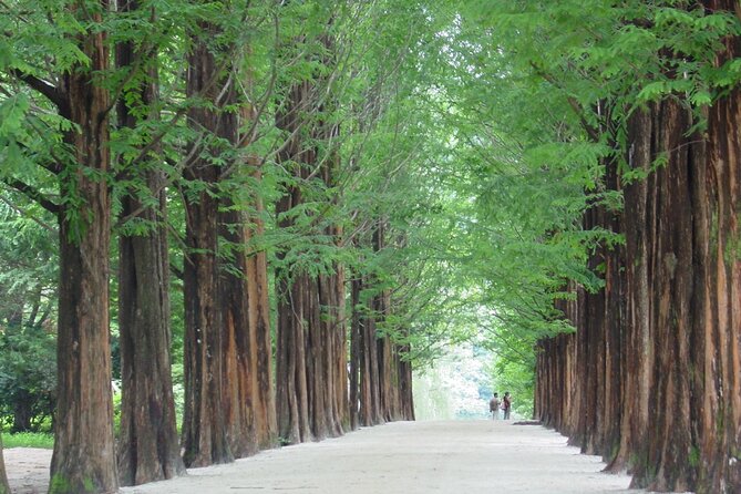 Mount Seorak and Nami Island One Day Tour from Seoul - Nami Island’s tree-lined paths and easy wandering