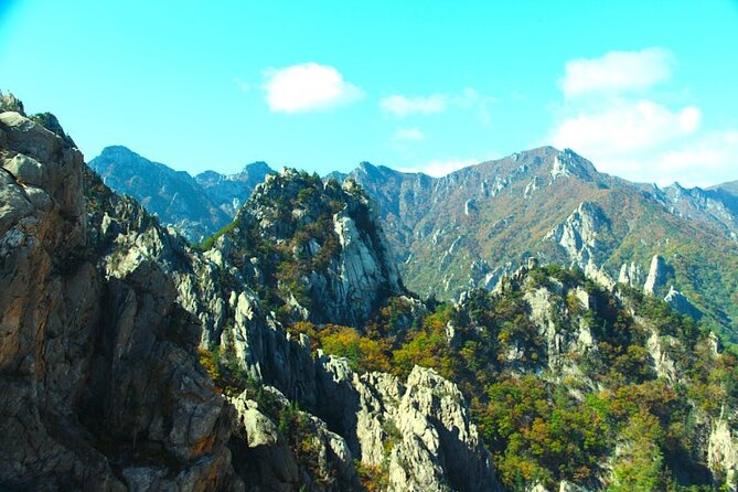 Mt.Seorak & Naksan Temple Day Trip from Seoul - The guide and transport experience