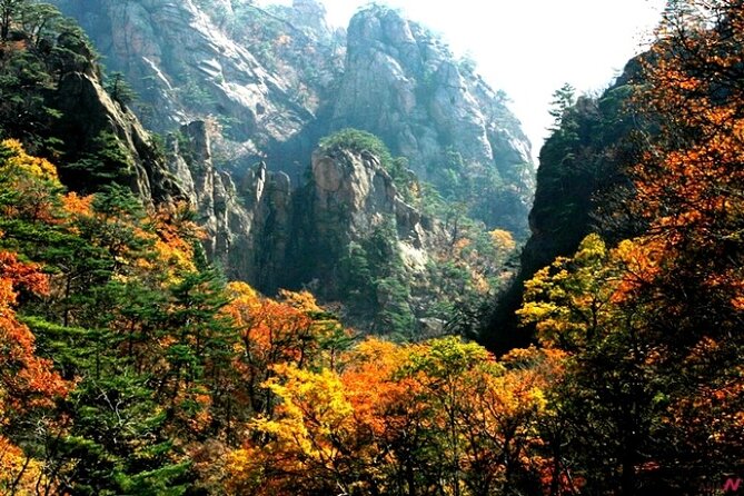 Mt.Seorak & Naksan Temple Day Trip from Seoul - Who should book this day trip