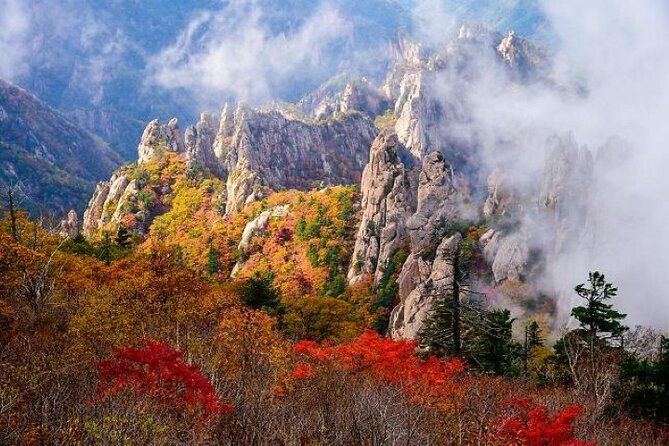Mt.Seorak & Naksan Temple Day Trip from Seoul - Naksansa Temple above the sea