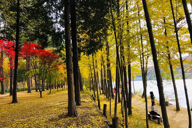 Mt. Seorak+Nami Island+Garden of Morning Calm Day Trip from Seoul - The guides make the long schedule easier