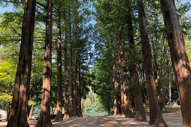 Mt. Seorak+Nami Island+Garden of Morning Calm Day Trip from Seoul - Who should book this day trip