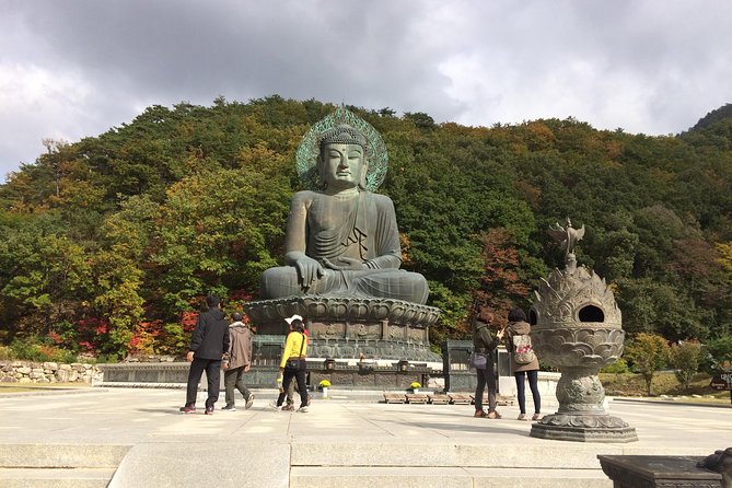 Mt. Seorak+Nami Island+Garden of Morning Calm Day Trip from Seoul - Practical tips for making the day work