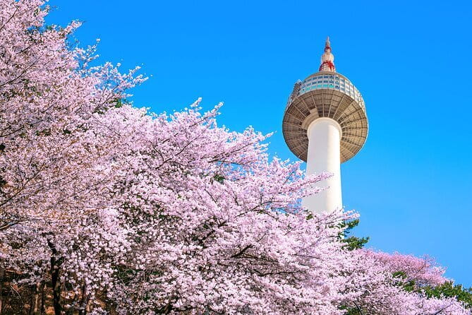 N Seoul Tower Observatory Ticket South Korea - Key points to know before you go