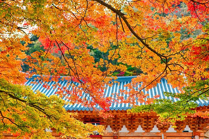 Naejangsan National Park Autumn Foliage One Day Tour from Busan - Key points to know before booking