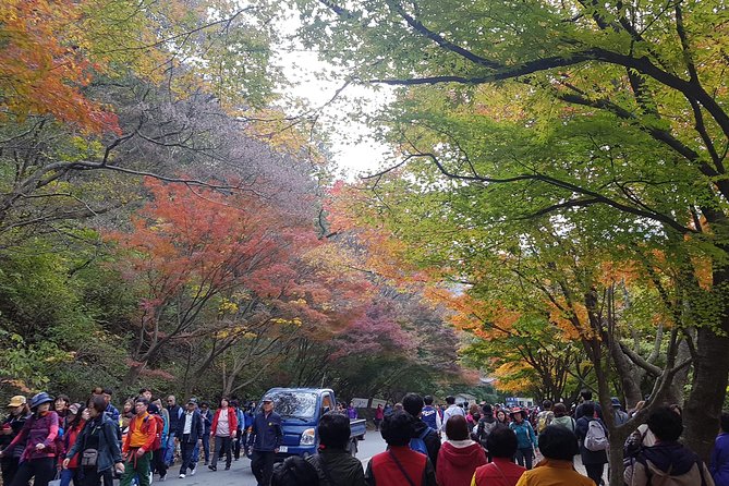 Naejangsan National Park Autumn Foliage One Day Tour from Busan - Why Naejangsan is worth the long ride from Busan