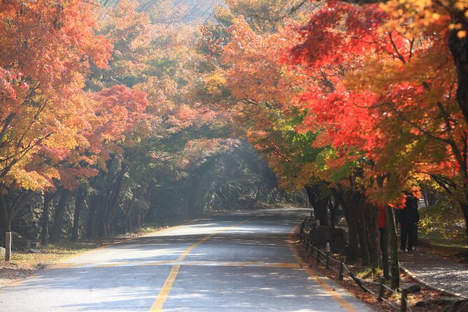 Naejangsan National Park Autumn Foliage One Day Tour from Busan - Walking among the red, orange, and yellow leaves
