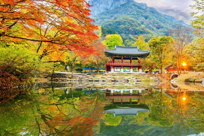 Naejangsan National Park Autumn Foliage One Day Tour from Busan - Lunch and free time in the park