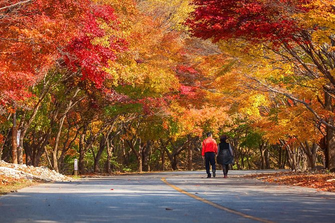 Naejangsan National Park Autumn Foliage One Day Tour from Busan - Is the $62 price good value?