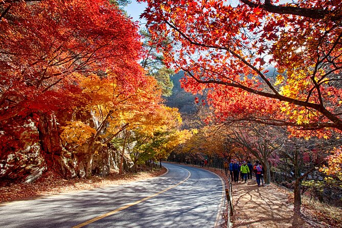 Naejangsan National Park Autumn Foliage One Day Tour from Busan - What the guides add to the day