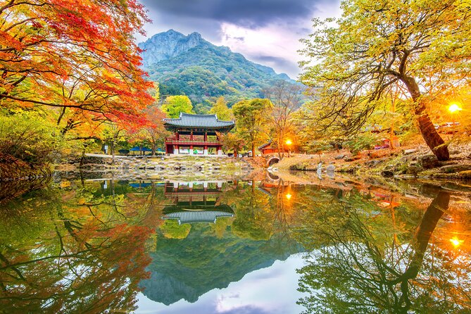 Naejangsan National Park Autumn Foliage One Day Tour from Seoul - Why Naejangsan makes a strong autumn day trip