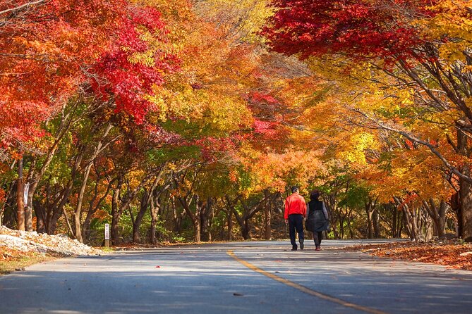 Naejangsan National Park Autumn Foliage One Day Tour from Seoul - Naejangsa Temple and the cultural pause