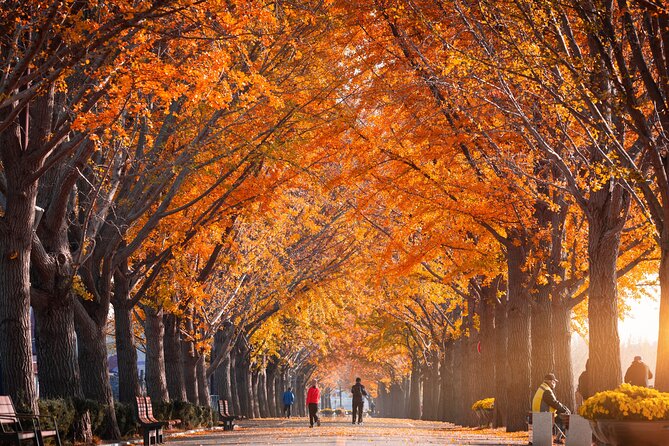 Naejangsan National Park Autumn Foliage One Day Tour from Seoul - Group size, comfort, and independence