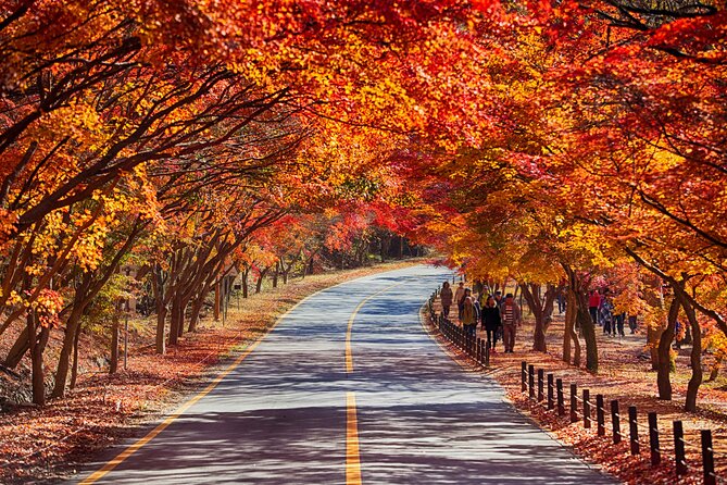 Naejangsan National Park Autumn Foliage One Day Tour from Seoul - Weather, foliage, and the limits of a fixed date