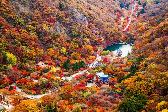 Naejangsan National Park Autumn Foliage One Day Tour from Seoul - Who will get the most from this tour