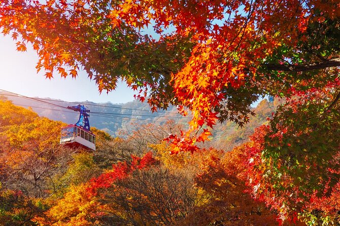 Naejangsan National Park Autumn Foliage One Day Tour from Seoul - Five hours to explore the park