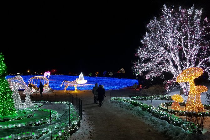 Nami+Alpaca+Garden of Morning Calm (+Rail Bike Option) - Nami Island: the main attraction