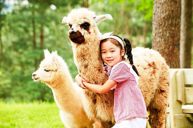 Nami+Alpaca+Garden of Morning Calm (+Rail Bike Option) - Petite France: pretty, popular, and easy to finish quickly