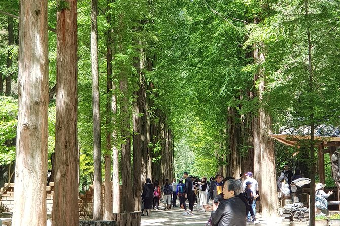 Nami Island and Petite France - Filming location - Key points to know before booking