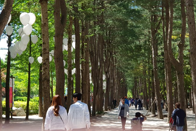 Nami Island and Petite France - Filming location - Why this day trip works outside Seoul