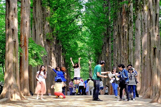 Nami Island, Cable Car, Garden of Morning Calm Panoramic Tour - Riding the Samaksan cable car