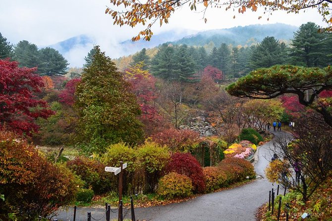 Nami Island from Seoul: Petit France and Garden of Morning Calm - The Garden of Morning Calm in one focused hour